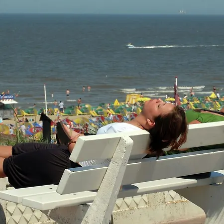 Holiday Zonnig 펜션 노르트베이크